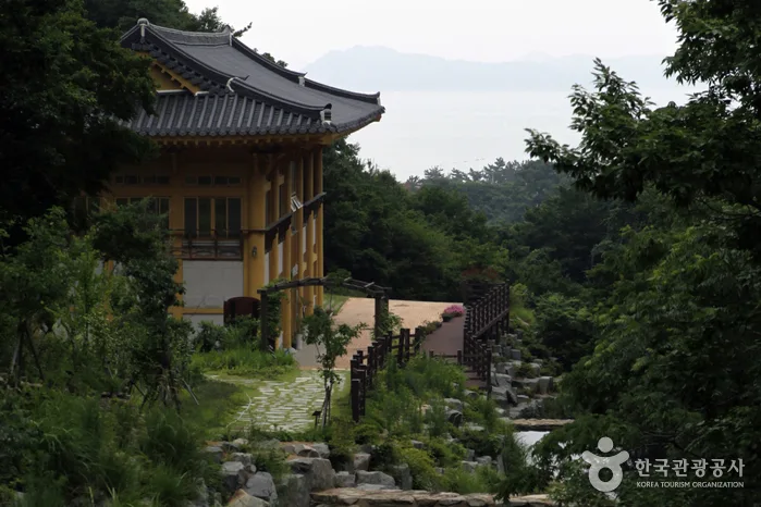 거금 생태숲 산책길